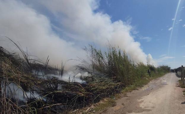 Arde una zona de cañaveral en las Albuferas de Adra