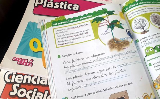 Berja estudia el reparto de los libros escolares para abordar el último trimestre desde casa