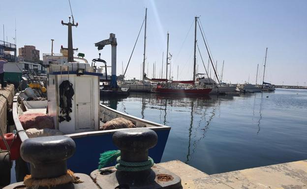 Los descartes de pescado provocan quejas y sanciones en el Puerto de Adra