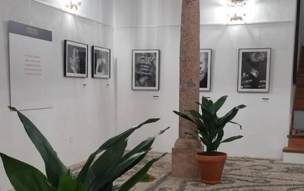 El flamenco, protagonista en Laujar en Donde Nace lo Temprano