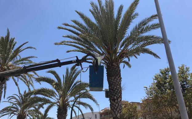 El Ayuntamiento de Adra encarga a una empresa externa el mantenimiento de zonas verdes