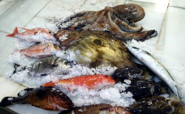 Delicias del mar: el pulpo de Adra y el salmonete de roca