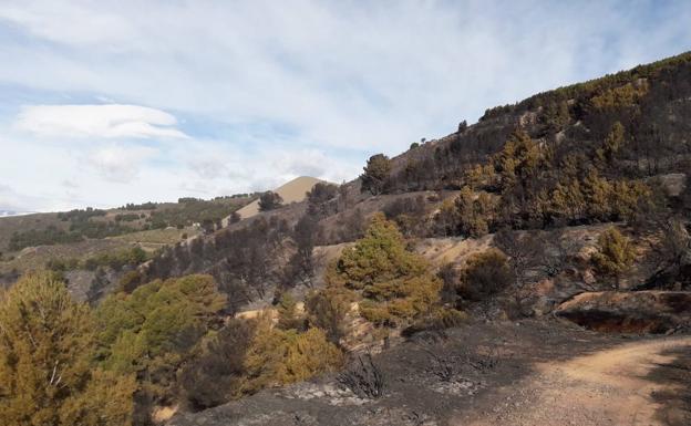 Extinguido el incendio de Castala después de casi cinco días sin descanso