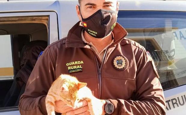 Dalías se compromete a esterilizar las colonias de gatos para su control