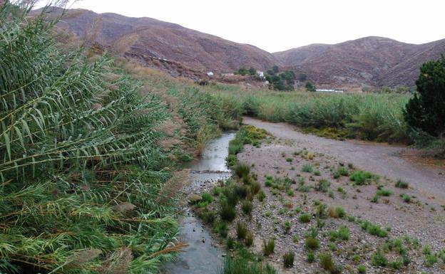 El Gobierno comienza este mes a redactar el proyecto para encauzar el río Adra