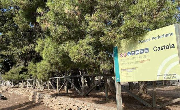 Investigadores de la UAL se implican en la recuperación de Castala tras el incendio