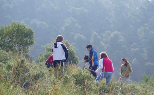 La Junta aparca actuar en la Sierra de Gádor y observa la «respuesta natural» del monte