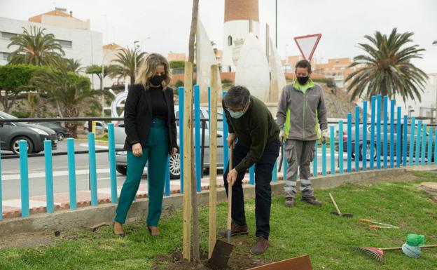 Adra será testigo de la plantación de 1.500 árboles en 2021