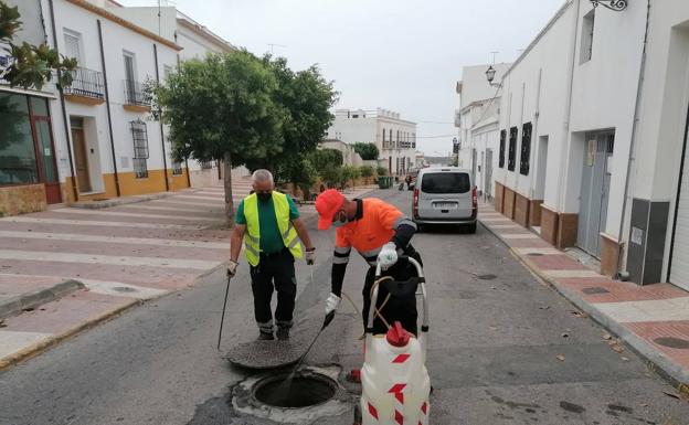 Dalías desinfecta sus alcantarillas para combatir insectos y roedores