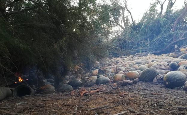 Ecologistas en Acción exige vigilancia para las Albuferas de Adra