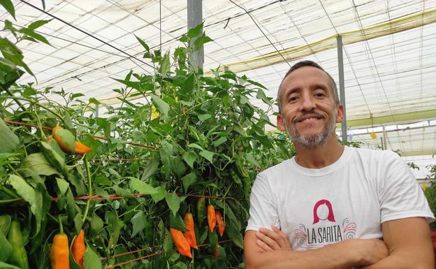 El ají peruano 'echa raíces'en Adra para llegar a Europa