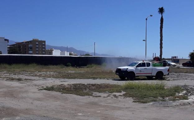 Edificios municipales, solares y vertederos, incluidos en el plan de plagas