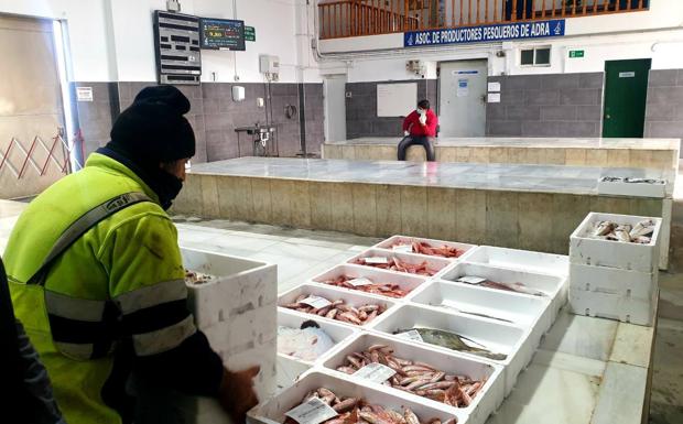 La lonja de Adra retoma su actividad