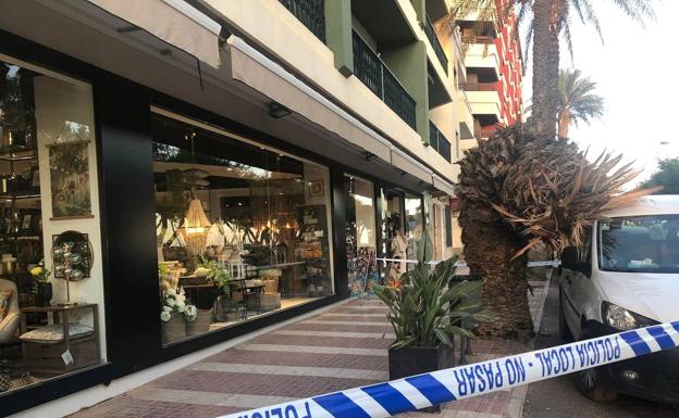 Cae una palmera en Adra