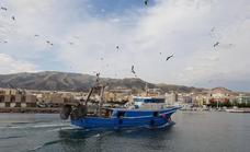 La pesca de arrastre, insostenible: «La mayoría de la flota quiere quitarse de en medio»