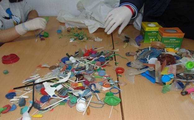 Estudiantes de Geología y Biología analizan los residuos hallados en las playas de Adra