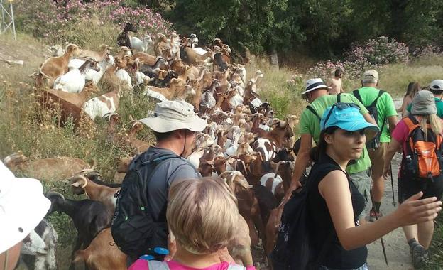Cerca de un centenar de participantes coronan la ‘Ruta del Collao’ en Líjar