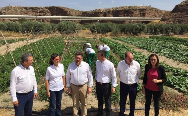 Menores que cumplen medidas judiciales en Purchena se forman en la agricultura con un programa de la Junta