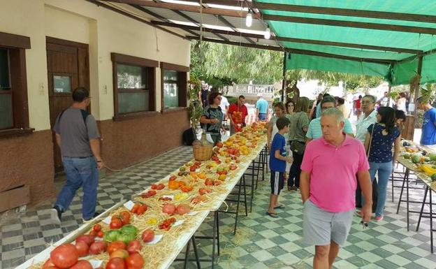 Tíjola celebra la I Feria de la Agricultura dedicada esta edición al tomate