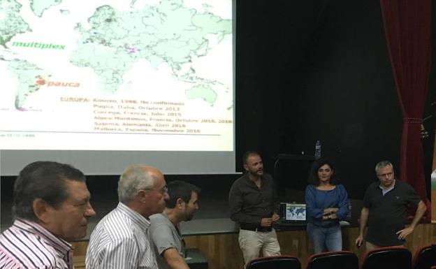 La Junta informa al sector agrícola del Almanzora sobre la bacteria Xylella fastidiosa