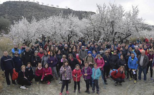 La décima edición de la ruta del almendro en flor de Albox como homenaje a esta iniciativa