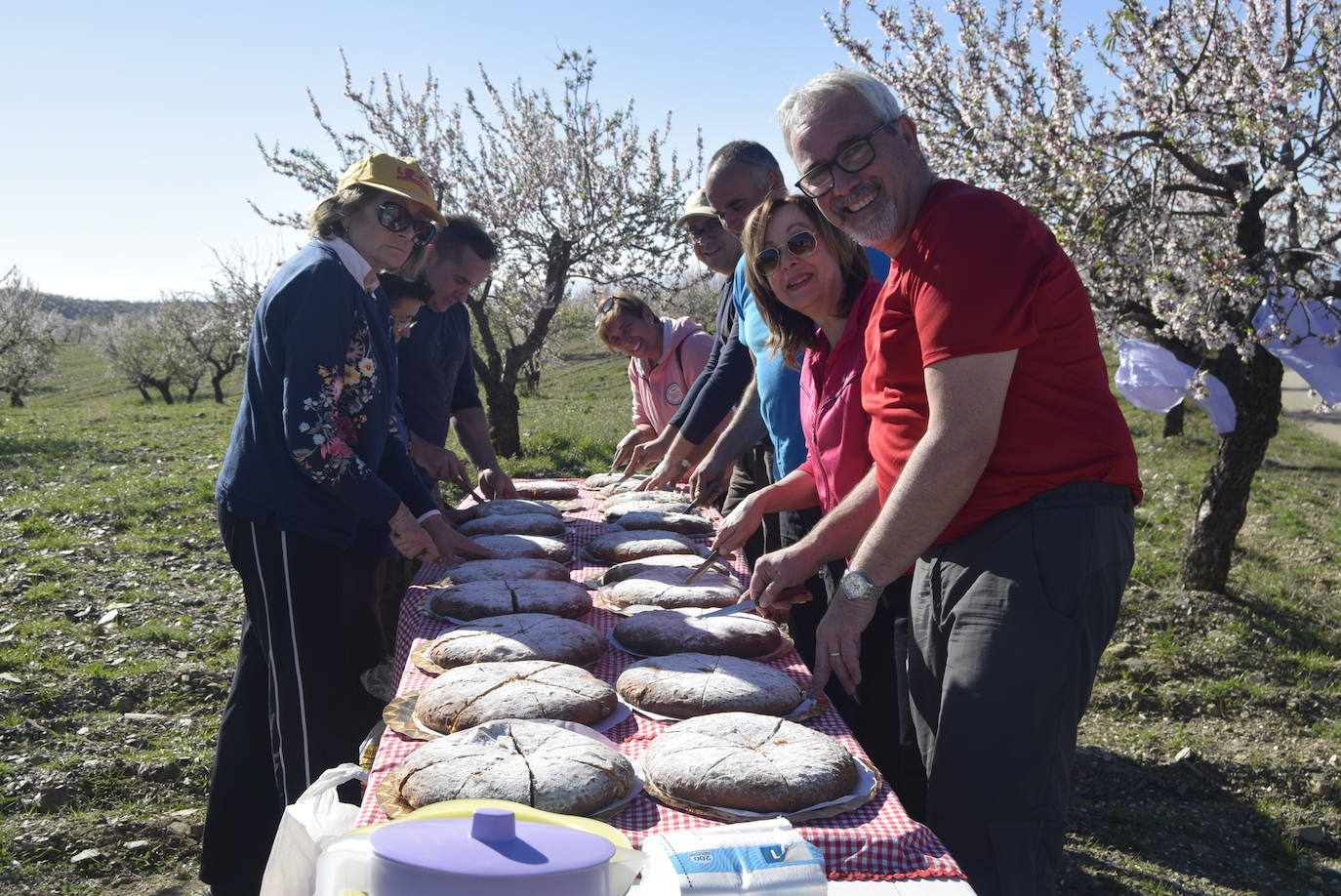 La ruta del almendro en flor de Albox rindió un homenaje al color rosa de la Almendra Marcona