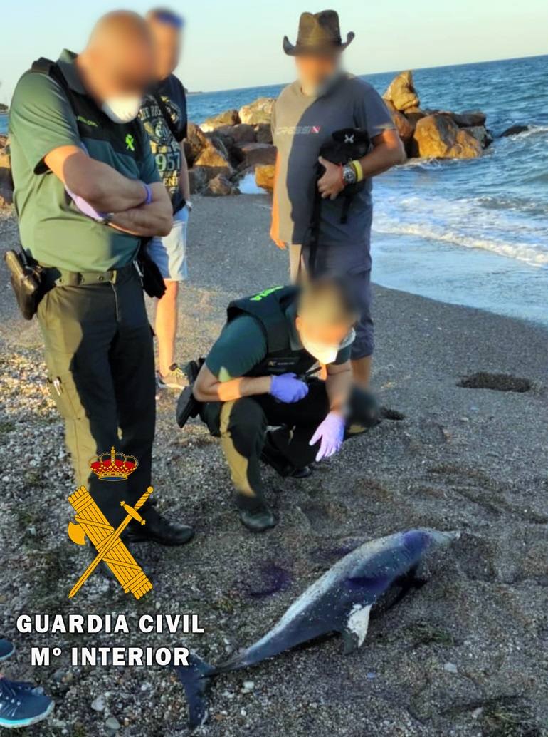 La Guardia Civil presta seguridad y apoyo en el varamiento de un delfín en Cuevas del Almanzora