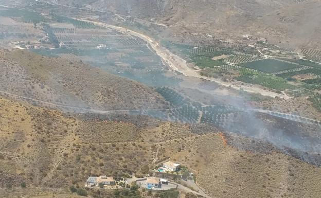 Estabilizado el incendio forestal surgido este viernes en Cantoria