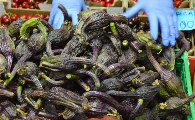 El producto estrella de las huertas de la zona, la berenjena, ya está en los mercados