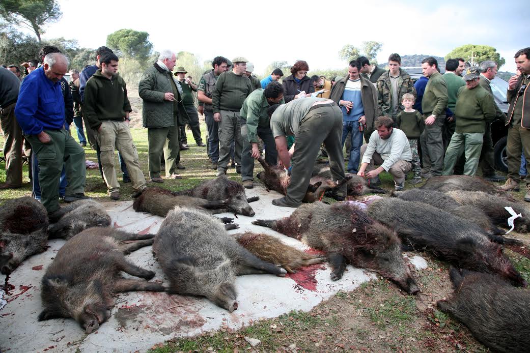 Andújar va albergar un salón de la Montería en Septiembre