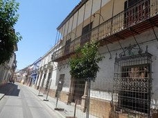 La remodelación del Palacio del Ecijano despierta el interés de todo el país