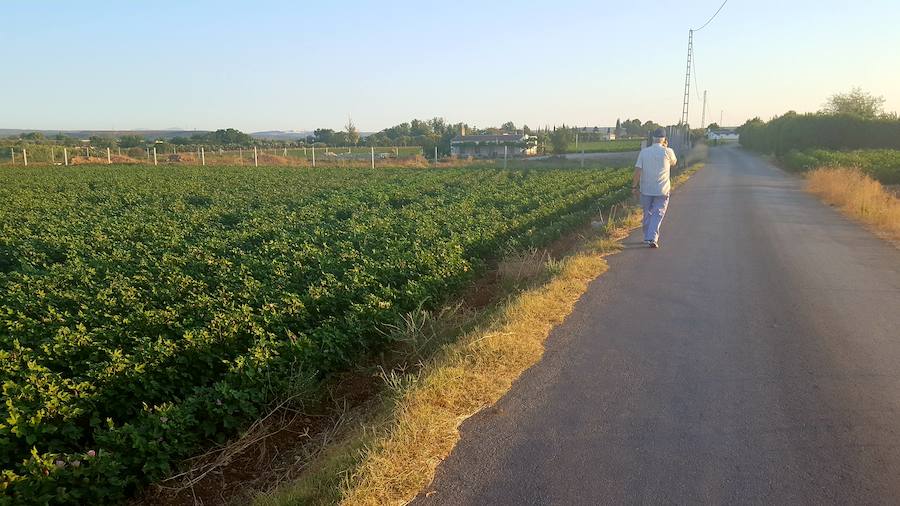 ASAJA avisa que la escasez de agua pone la voz de alarma en el campo