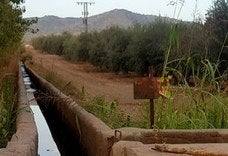 Situación límite para el riego en la Comunidad de Regantes del Rumblar