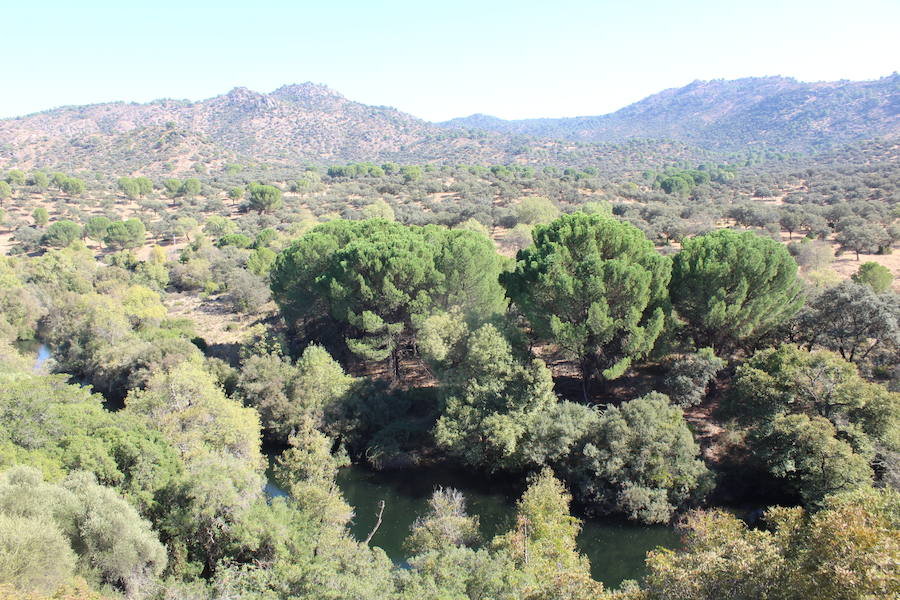 La asociación Ameco reclama las aperturas de las vías pecuarias del parque natural Sierra de Andújar