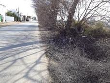 Siguen sucediéndose las denuncias por el mal estado de la carretera de Los Villares