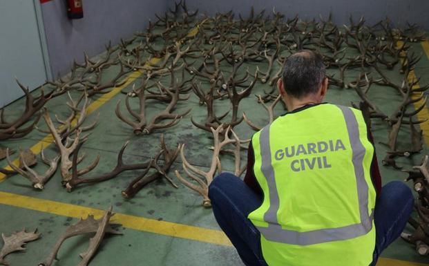 Cuatro detenidos por asaltar una casa en Andújar para robar trofeos de caza