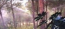 Un sistema innovador se suma a la prevención de fuego en las viñas