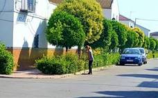 La autonomía de Los Villares-San José de Escobar se hace esperar