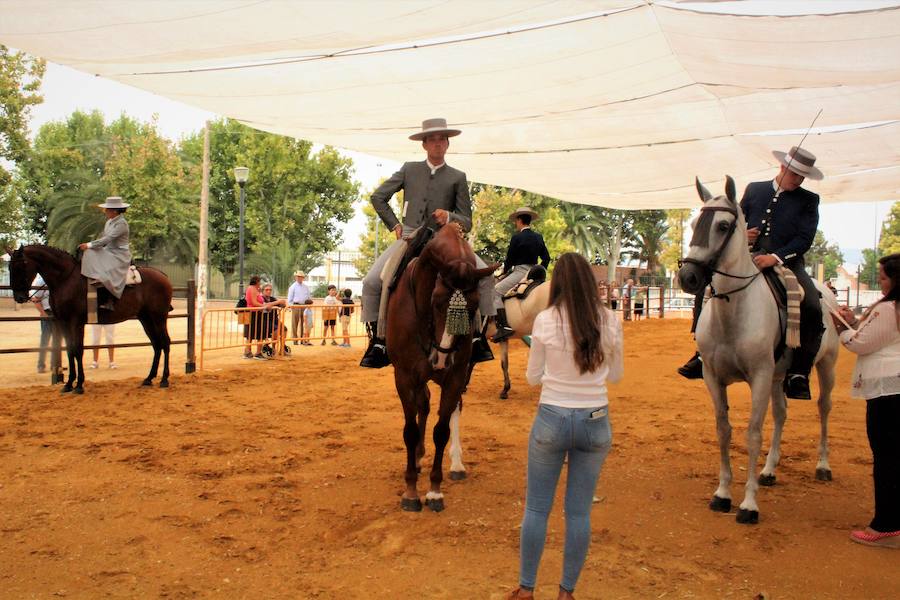 El caballo, fiel a su cita en grandes eventos