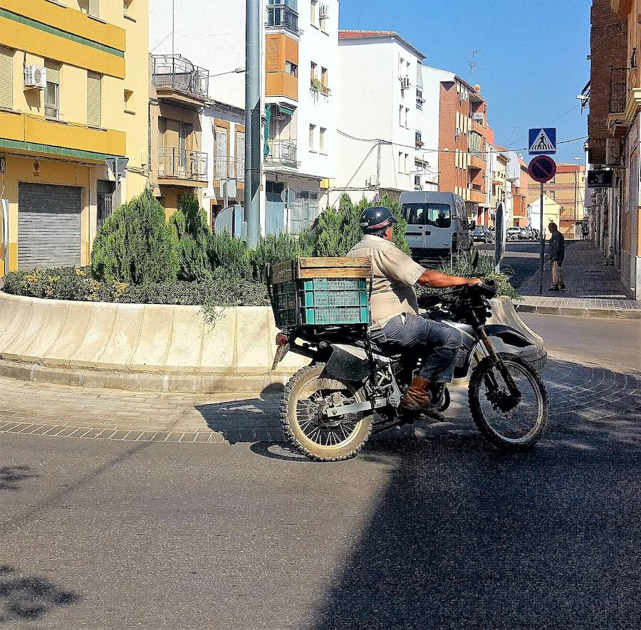 Siete calles de la ciudad se van a beneficiar de los planes de empleo PFA de 2018
