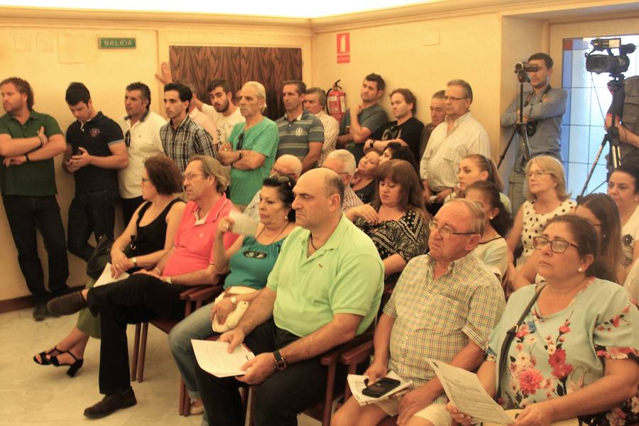 La Corporación pide paliar lagunas sanitarias en la ciudad de Andújar