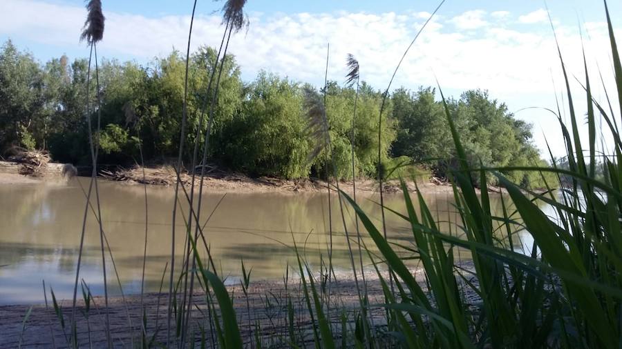 El Gobierno central va a convocar la Mesa de las Inundaciones