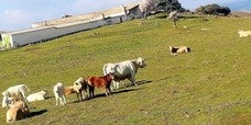 El parque natural Sierra de Andújar gana adeptos en el extranejero por su enorme biodiversidad