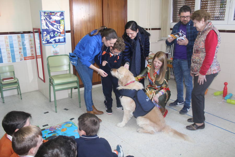 La incorporación del perro a la enseñanza facilita la atención del alumnado