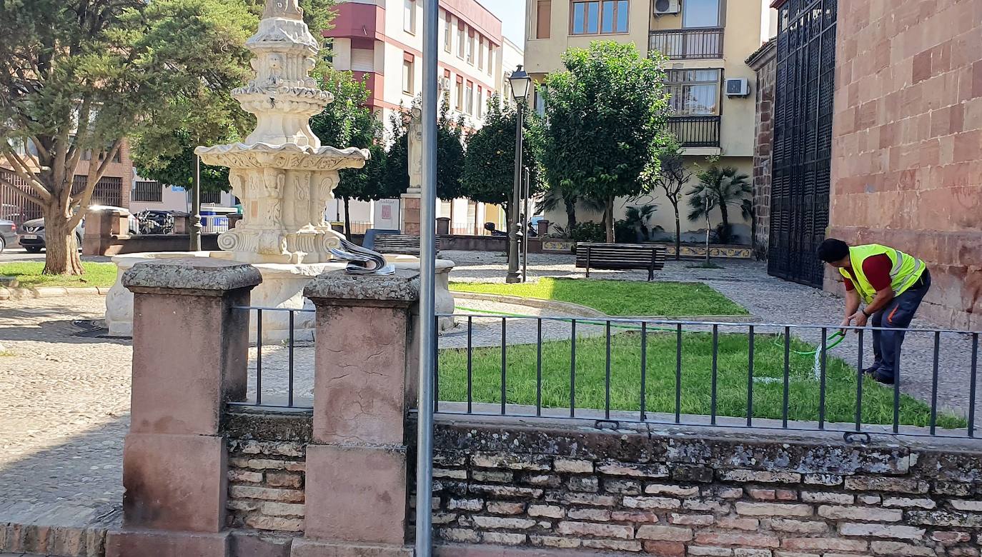 Medio Ambiente elimina el herbicida Glisofato en la ciudad
