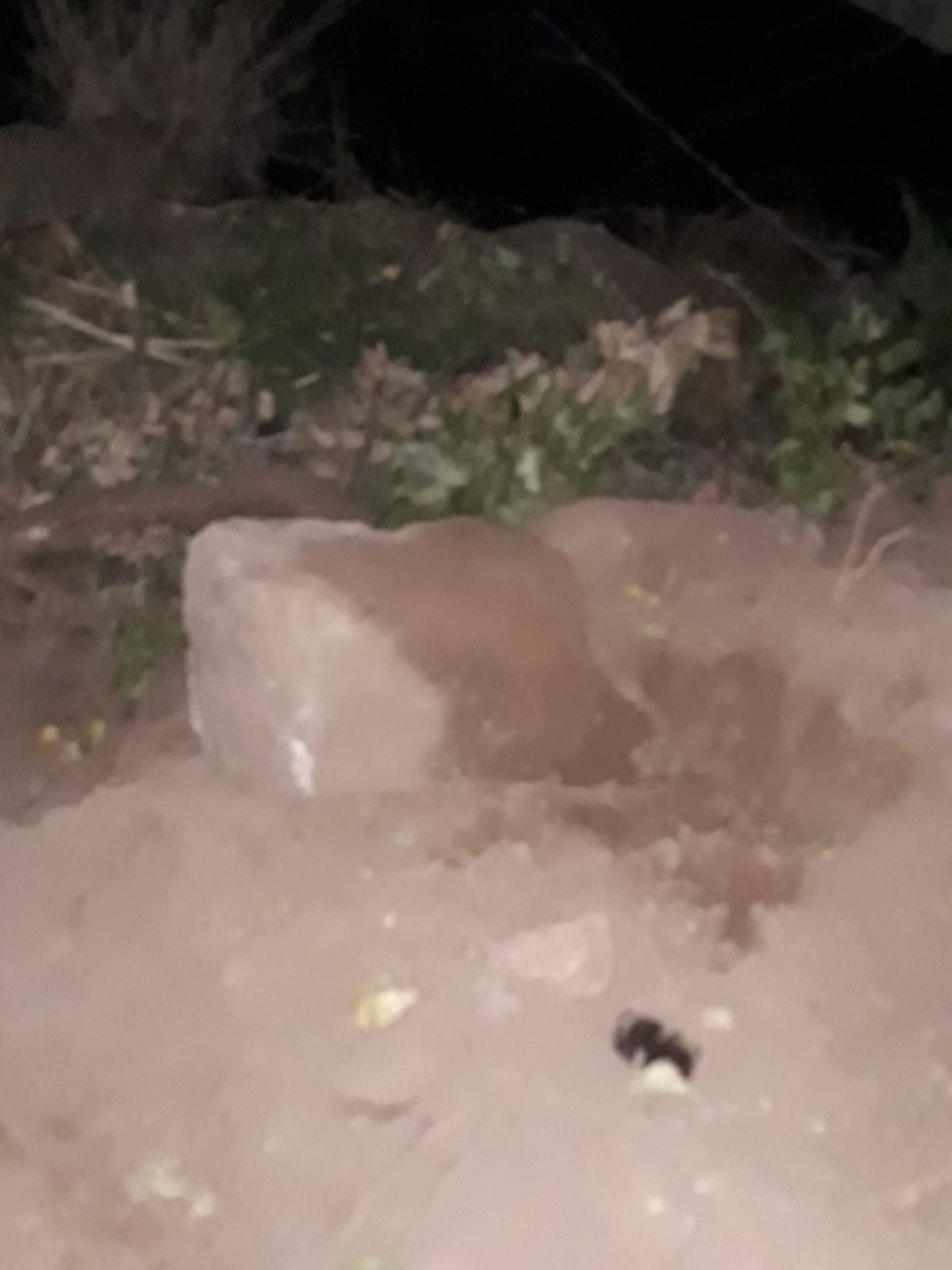 Colectivos vigilan las obras de limpieza de Martín Gordo por la cercanía a Isturgi