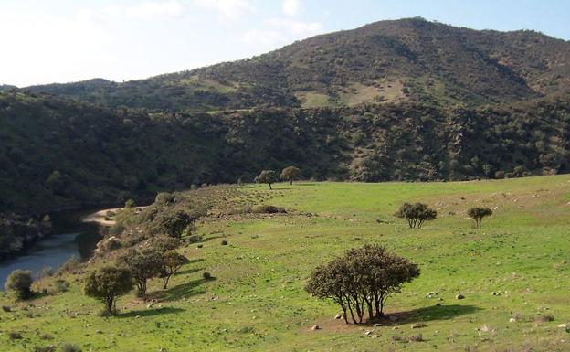 Desalojados cinco temporeros tras un incendio en un cortijo en Andújar