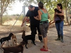 Medio Ambiente quiere un 'sacrificio cero' de mascotas