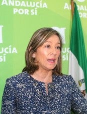 Andalucía Por Sí afirma que las ordenanzas municipales «suponen un ataque a las familias»
