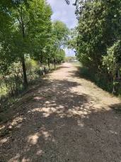La Consejería de Agricultura interviene en la mejora de la Puerta Verde de Andújar y Marmolejo